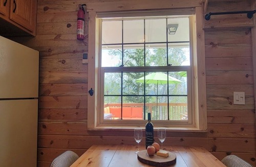 Michigan Hill Cabin | Secluded South Park Cabin - Amazing deck & views!