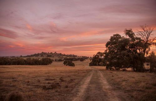 Metcalfe House | Secluded Tiny Home with Wild Yoga Retreat near Malmsbury, Macedon Ranges Victoria