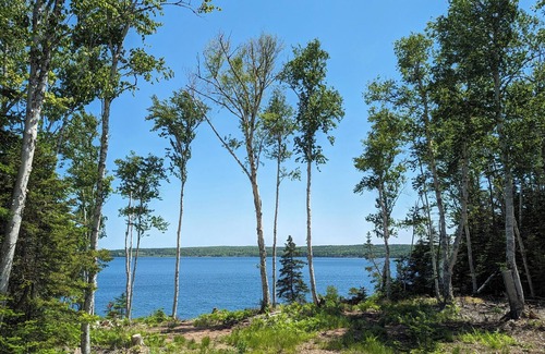 Cape Breton Island House | Secluded, well equipped 'offgrid' RV w/ outdoor space, trails. Pet friendly