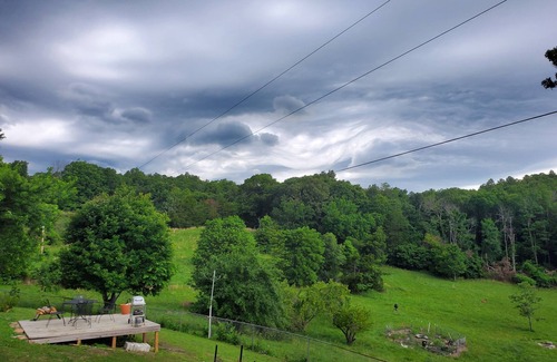 Marshall Cabin | SECRET OASIS in awesome Marshall with AC and high speed fiber optic WiFi!