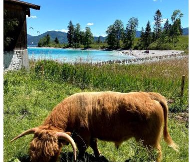 Kochel am See Apartment | Seeblick Apartment am Walchensee
