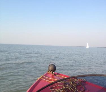 Rust House | Seehütte Neusiedlersee - Pfahlbau GlamPing