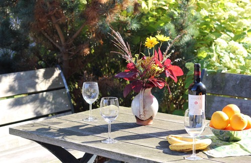 Gross Schwansee Apartment | Seestern apartment - perfect for families with playground & garden, 15 min to the beach