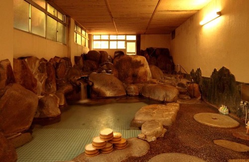 Okutsu Onsen Hotel | Seiryuso