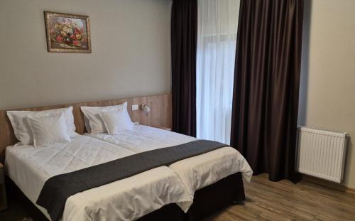 Telciu Ski Chalet | SELBIT - Șesul domniței