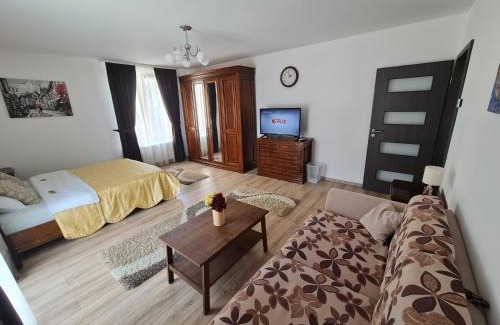 Tirgu Mures Apartment | Select City Center