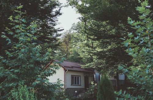 Azerbaijan Hotel | Selena