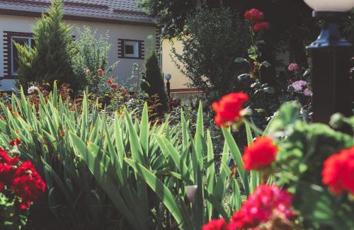 Azerbaijan Hotel | Selena