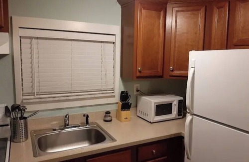 Ybor City Ski Chalet | Seminole Heights suite