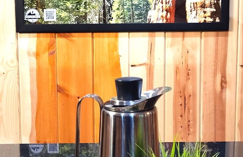 Camp Nelson Cabin | Sequoia Trails, Ancient Trees, Mountain Adventure, and Air Conditioning