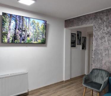 Cisnadie Apartment | Serana Home