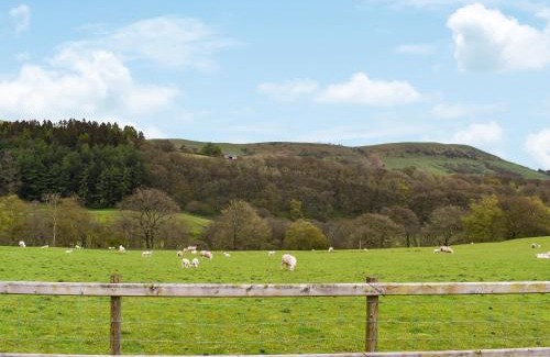 Llandrindod Wells House | Seren
