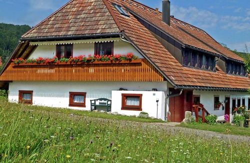 Hennenmatt Apartment | Serene Apartment in Rickenbach near Ski Lift
