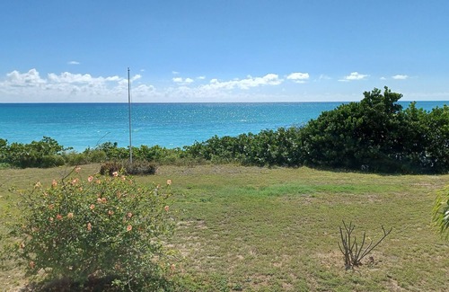 Estate Enfield Green House | Serene Beach Paradise House