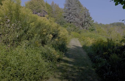 Tyrone RV Rental | Serene Camping Retreat with Freshwater Pond in Clarington Bowmanville