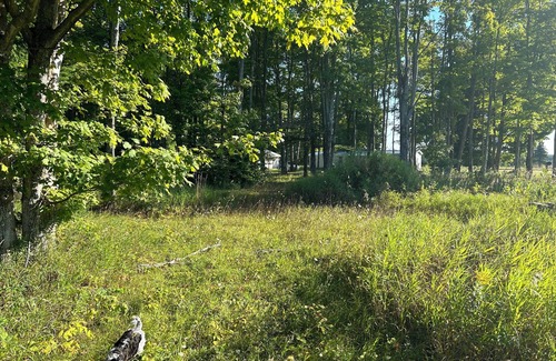 McMillan RV Rental | Serene Large Tents site with WiFi in McMillan