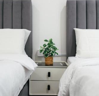 Brinchang Apartment | Serene Nest Cameron Centrum Clover Home A-1-15 B