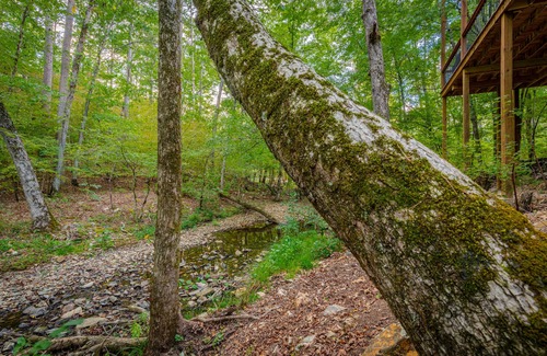 Broken Bow Cabin | SERENE ON THE STREAM is a modern luxury cabin that overlooks a soothing, flowing