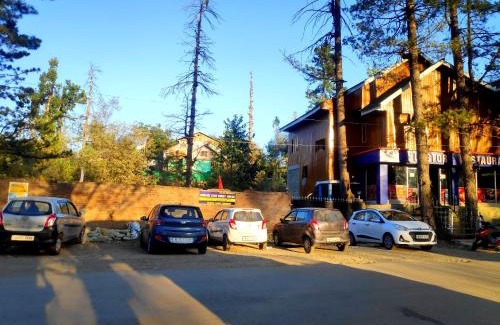 Srinagar Cabin | Serene Stay Villa by Doctors