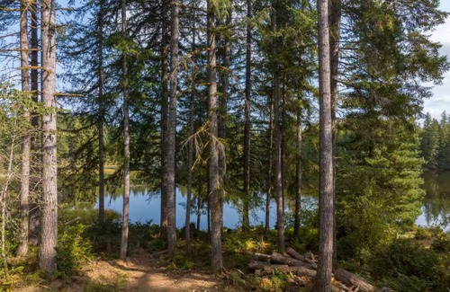 Mason County House | Serenity Lake House