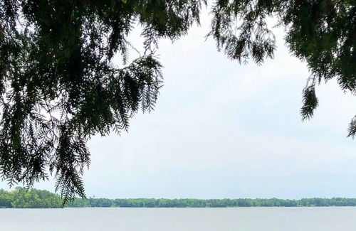 Deerwood Cabin | Serpent Lake Listing! Northern MN Cabin Getaway near Cuyuna Mountain Bike Trails