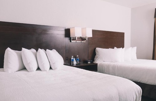 Grande Prairie Hotel | Service Plus Inns and Suites