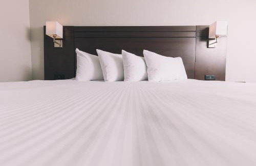 Grande Prairie Hotel | Service Plus Inns and Suites