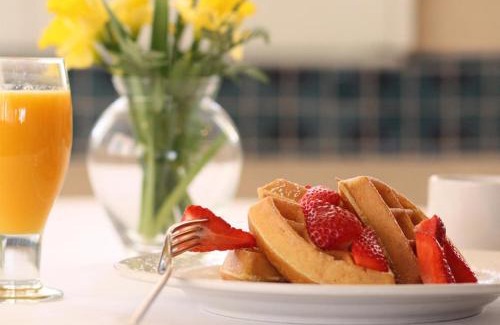Millbrae Hotel | SFO El Rancho Inn SureStay Collection by Best Western
