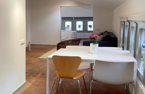 Terrassa Apartment | SG Apartamento céntrico ático