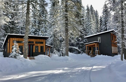 Golden House | Shady forest Base camp! 2 homes, a chalet and a cabin, sleeps 8!