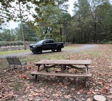 Benton House | Shady Pine Cabin