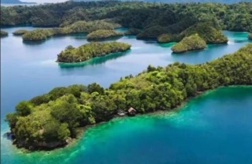 Sawinggrai House | "Shady Sea Raja Ampat"