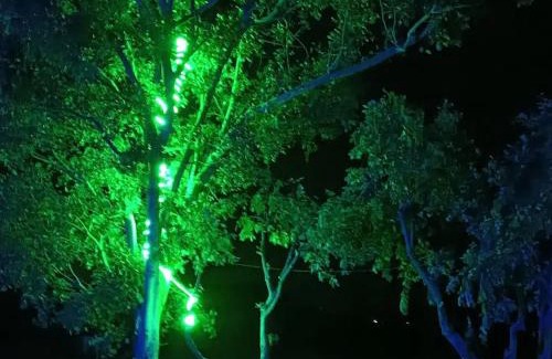 Kamalapur Resort | Shanthi Dhama Hampi