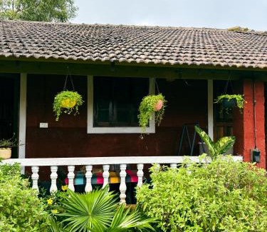 Arambol Resort | shanti MIZU