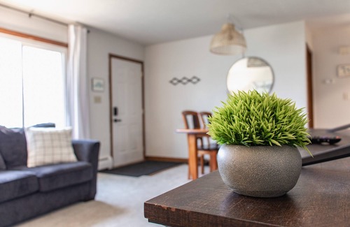 Superior House | Shark Free | The Great Lakes House