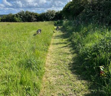 Durham Other | Shepherds hut in 7 acre field