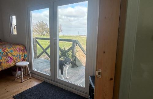 Durham Other | Shepherds hut in 7 acre field