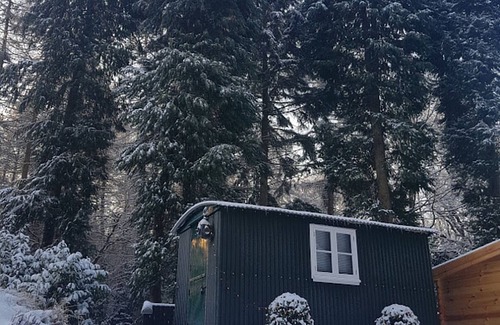 Warlingham Cabin | Shepherds hut with hot tub and BBQ