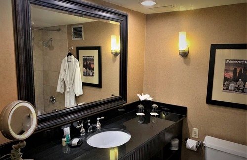 Lisle Hotel | Sheraton Lisle Naperville Hotel