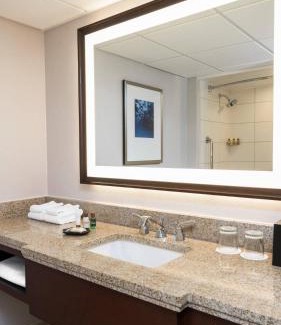 Pinch District Hotel | Sheraton Memphis Downtown Hotel