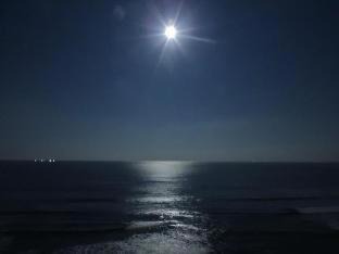 Shirahama Hotel | Shimoda Prince Hotel