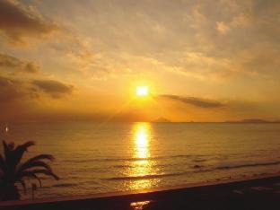 Shirahama Hotel | Shimoda Prince Hotel