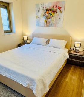 Dumbravita Apartment | SHoliday Ground Floor Apartment & Privat Parking !