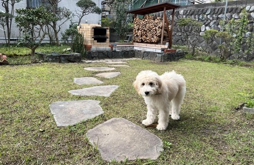 Ninomiya House | Shonan Soraru - Vacation STAY 12533