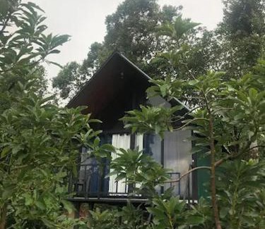 Deltota Other | Show me lanka campsite & cottage