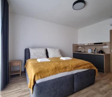 Rajecke Teplice Apartment | SiestaKey Apartmán 8