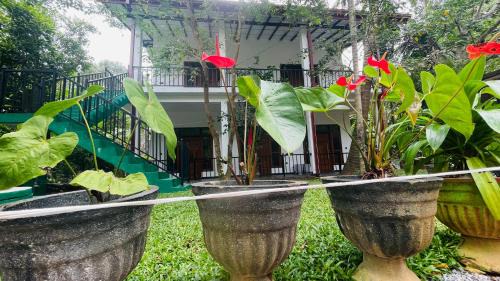 Kimbissa Cabin | Sigiri Delight Holiday home