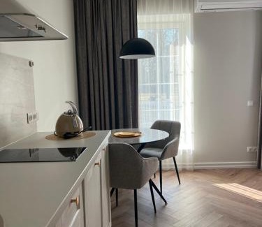 Kaunas County Apartment | Sigita