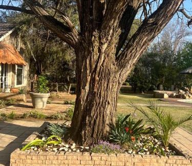 Greater Johannesburg Metropolitan Area House | Silken Trap Accommodation NO LOADSHEDDING
