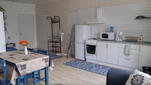 Sillanpaa House | Sillanpään Kartano